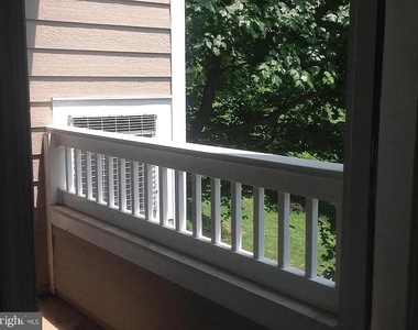 14321 Climbing Rose Way - Photo Thumbnail 3