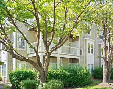 1704 Lake Shore Crest Drive - Photo Thumbnail 44