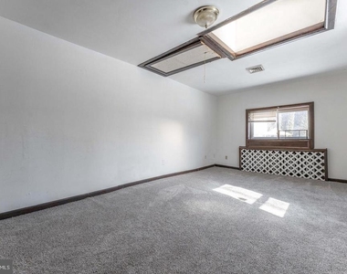 390 Mary Street - Photo Thumbnail 49