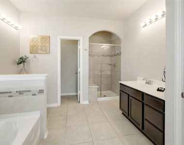 1029 Feldspar Stream Way - Photo Thumbnail 7