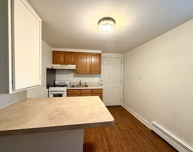 314 N Locust Street - Photo Thumbnail 9