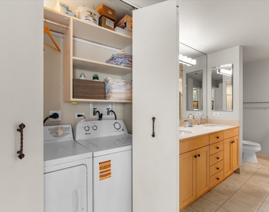 57 E Delaware Place - Photo Thumbnail 9