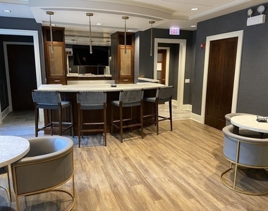 57 E Delaware Place - Photo Thumbnail 18