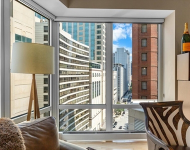57 E Delaware Place - Photo Thumbnail 5