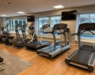 57 E Delaware Place - Photo Thumbnail 22