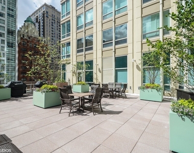 57 E Delaware Place - Photo Thumbnail 26