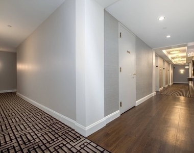57 E Delaware Place - Photo Thumbnail 14