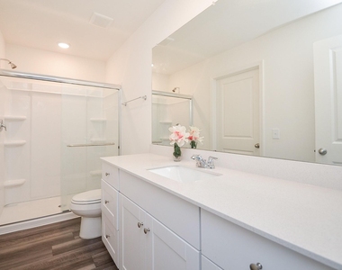 8627 Vacek Crossing Way - Photo Thumbnail 13