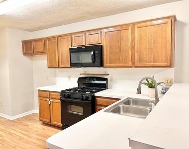 15919 Blue Mesa Ridge Drive - Photo Thumbnail 9