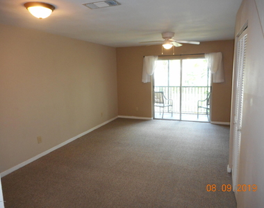 1010 Pine Tree Drive - Photo Thumbnail 5