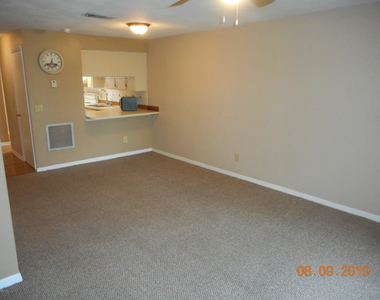 1010 Pine Tree Drive - Photo Thumbnail 6