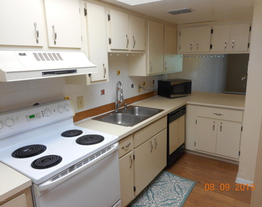 1010 Pine Tree Drive - Photo Thumbnail 3