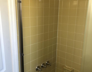 110 Desoto Parkway - Photo Thumbnail 10