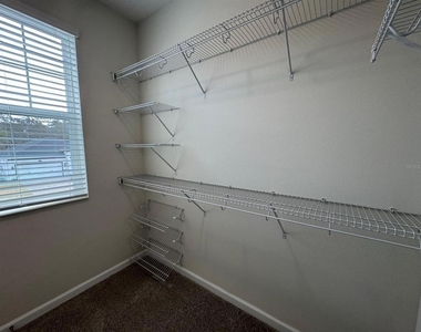 498 Lady Palm Street - Photo Thumbnail 18