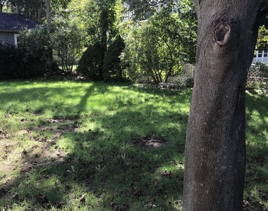 8 Lincoln Avenue - Photo Thumbnail 11