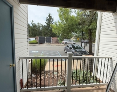 517 Waterford Dr - Photo Thumbnail 11