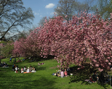East 59 Street - Photo Thumbnail 12