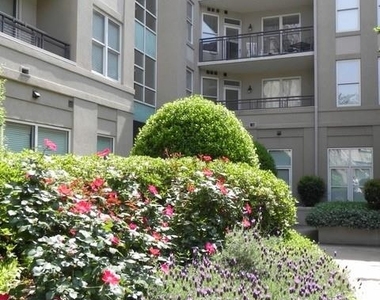 1315 East Boulevard - Photo Thumbnail 15