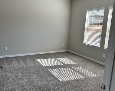 3305 Sedge Grass - Photo Thumbnail 6