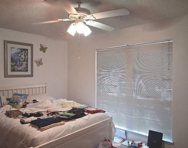 61 Somerset Terrace - Photo Thumbnail 10