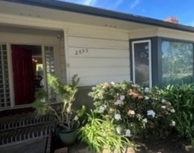 2895 Shakespeare - Photo Thumbnail 1