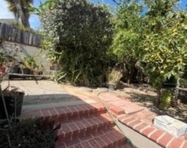 2895 Shakespeare - Photo Thumbnail 19