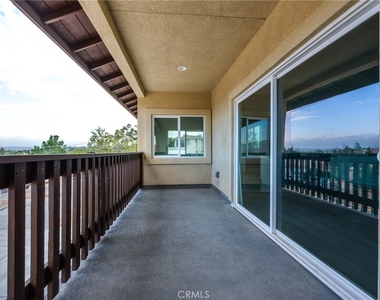 8411 Buckthorn - Photo Thumbnail 4