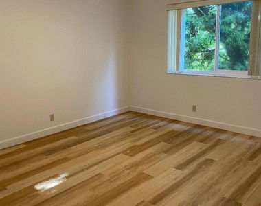 708 Solano Ave - Photo Thumbnail 8