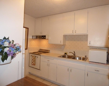 1645 Emerald Street - Photo Thumbnail 2