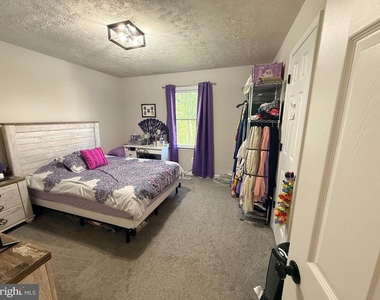 11704 Enchanted Woods Way - Photo Thumbnail 6