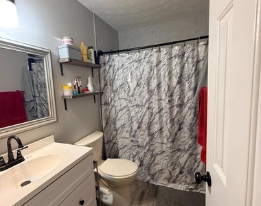 11704 Enchanted Woods Way - Photo Thumbnail 5