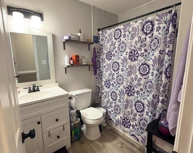 11704 Enchanted Woods Way - Photo Thumbnail 8