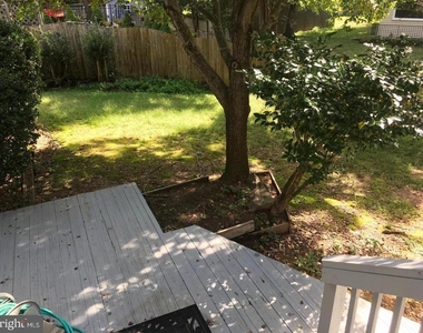 3875 Oriole Court - Photo Thumbnail 20