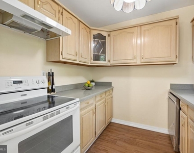 229 Cabbel Drive - Photo Thumbnail 15