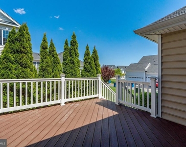 23311 Silcott Woods Terrace - Photo Thumbnail 58