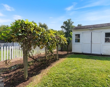 4023 Poplar - Photo Thumbnail 49