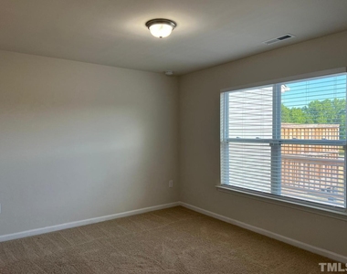 913 Robbie Jackson Lane - Photo Thumbnail 15