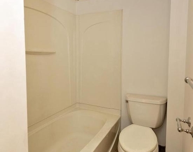 15 Jerome Terrace - Photo Thumbnail 23