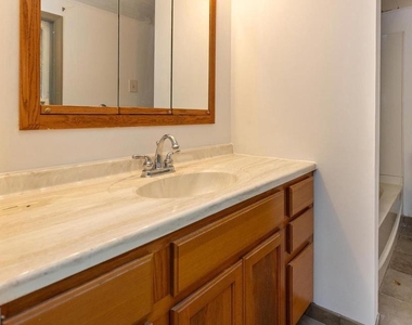 15 Jerome Terrace - Photo Thumbnail 22