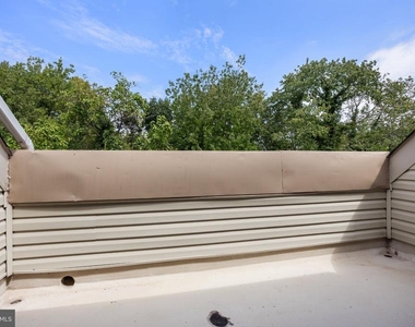 319 Tavistock - Photo Thumbnail 24