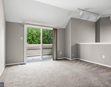 319 Tavistock - Photo Thumbnail 23