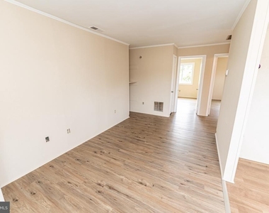 516 Bay Street - Photo Thumbnail 9
