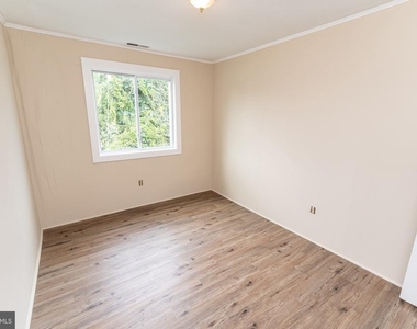 516 Bay Street - Photo Thumbnail 15