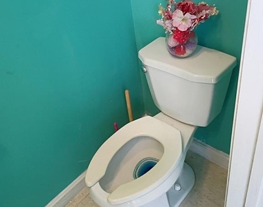 709 Poplar Grove Street - Photo Thumbnail 9