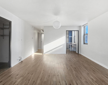 253 E Delaware Place - Photo Thumbnail 4