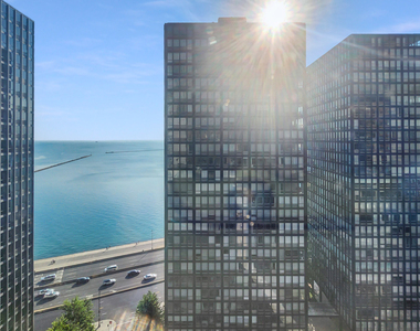 253 E Delaware Place - Photo Thumbnail 11