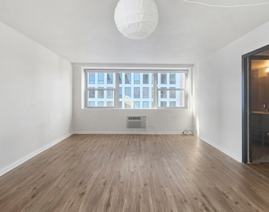 253 E Delaware Place - Photo Thumbnail 2