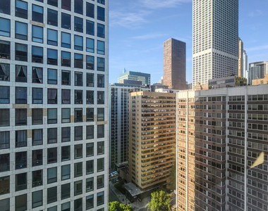 253 E Delaware Place - Photo Thumbnail 12