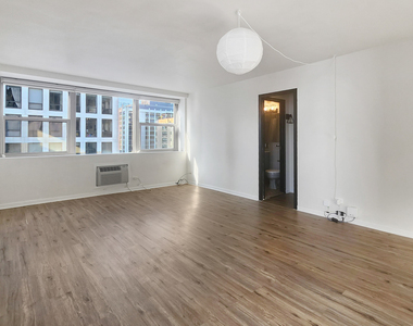 253 E Delaware Place - Photo Thumbnail 1