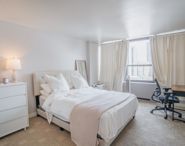 1560 N Sandburg Terrace - Photo Thumbnail 14